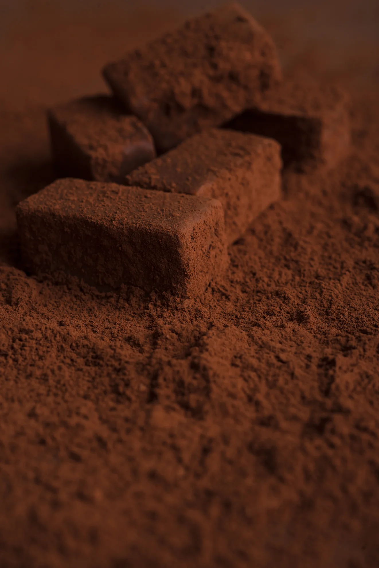 Alkalized cocoa powder