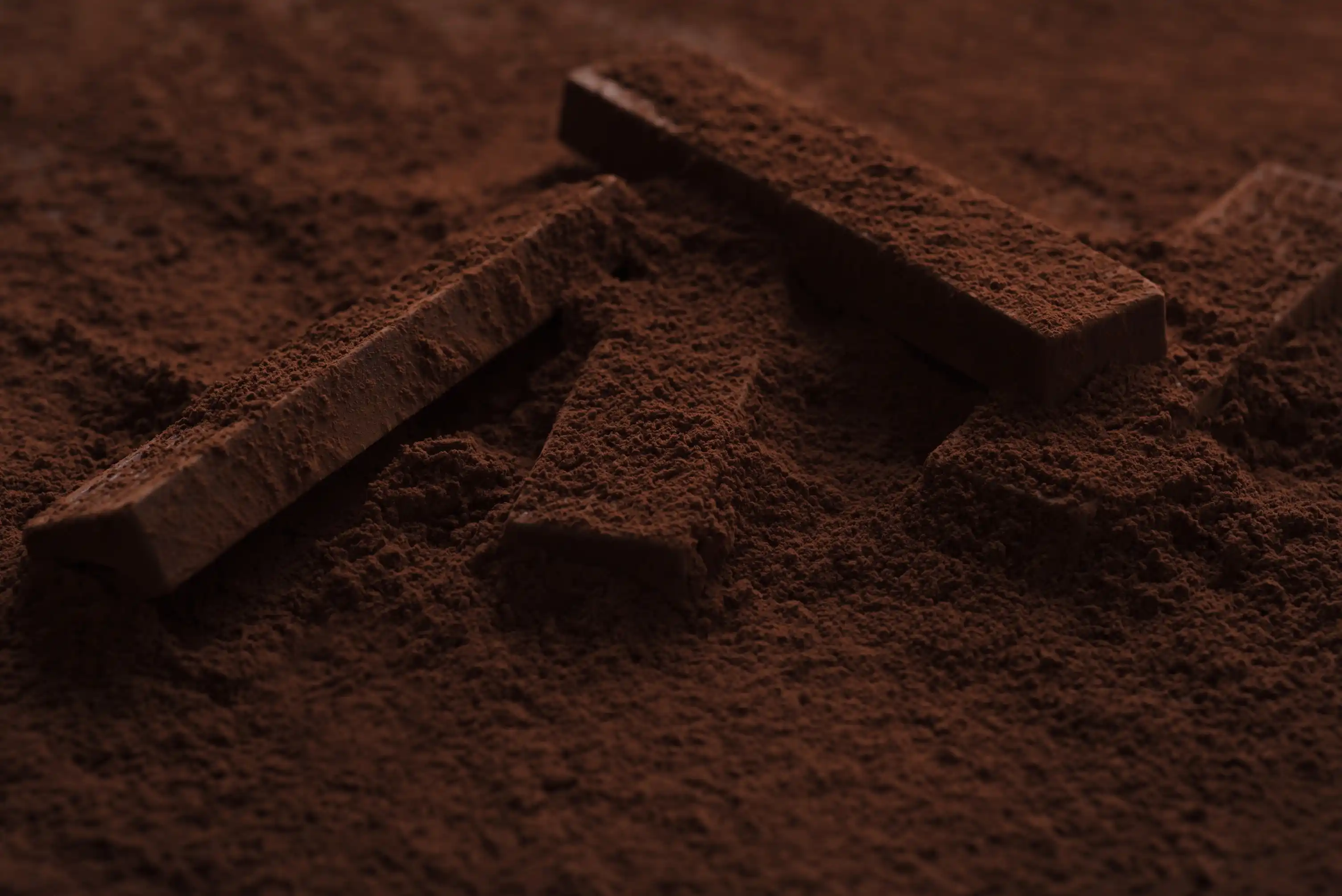 Cocoa beans — premium sourcing for ACTA Cocoa